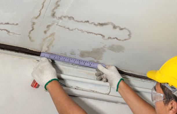 Reliable Mold Remediation contractor in Crockett, TX by Water Damage Irwin